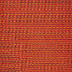 Prologue - Dark Amber / orange