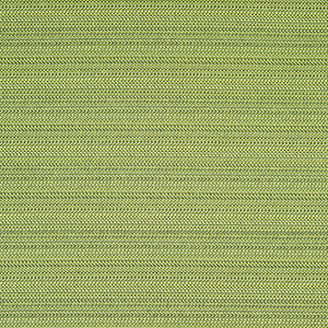 Prologue - Lime / green