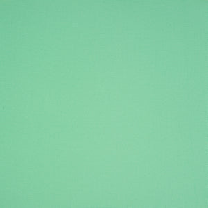 Score - Iced Mint / green