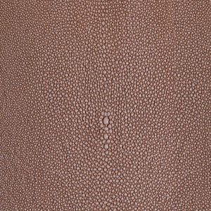 Shagarrett - Bloom / Beige