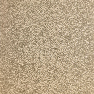 Shagarrett - Limestone / Beige