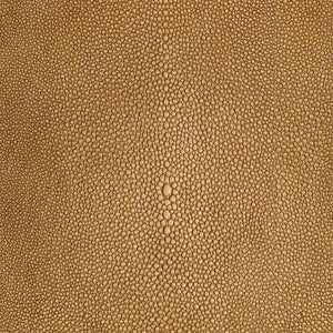 Shagarrett - Sandal / Beige