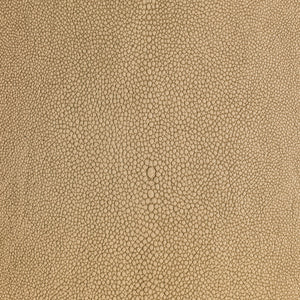 Shagarrett - Sandbar / Beige