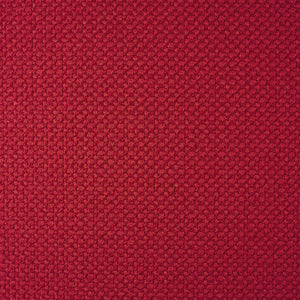 Sierra - Fuchsia / red