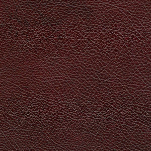 Starlight - Nuevo Vino / red