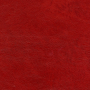 Starlight - Ruby / red
