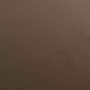 Torino - Hearthstone / Brown