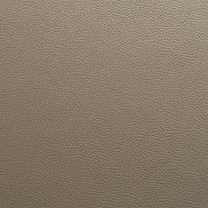Torino - Kingsport / Beige