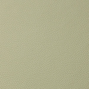 Torino - Lemongrass / Green