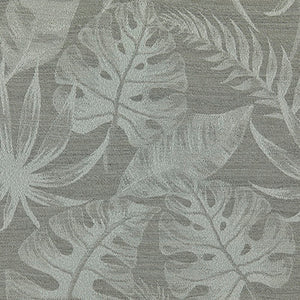 Yucca - 170 / gray